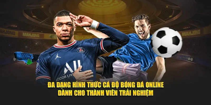 Đa dạng hình thức cá độ bóng đá online dành cho thành viên trải nghiệm