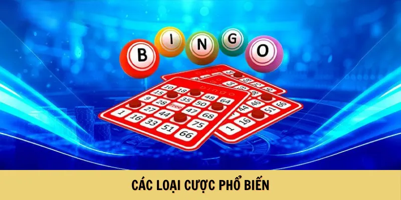 Các loại cược phổ biến